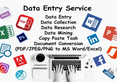 I will provide Data Entry services