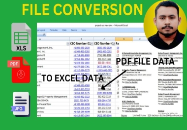 Professional PDF to Excel,  Word,  JPG,  PNG,  and Multi-Format Conversion Services