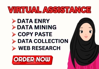 I will be virtual assistance for data entry, data mining, copy paste, web research