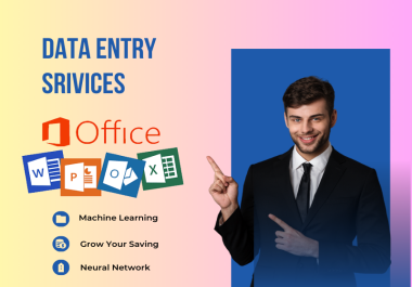 I will do data entry on excel, sheets or other ms office software