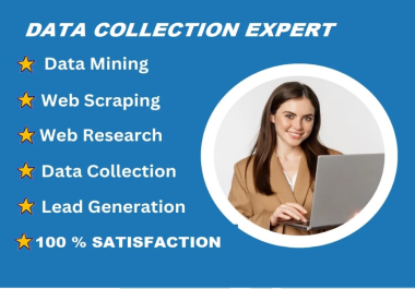 I will do excel data entry copy paste tasks web research and scraping