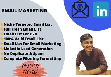 I will build niche targeted email list for email marketing