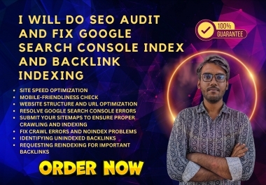 I Will Do SEO Audit and Fix Google Search Console Index and Backlink Indexing