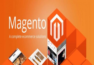 I will build a Magento store or do maintenance