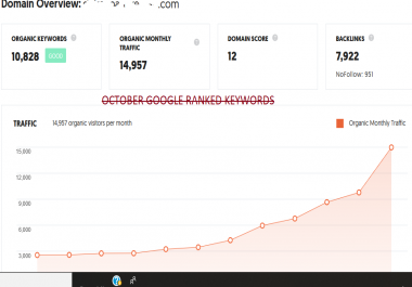 Google Ranking 50-100 Keywords Get Organic Traffic Real Human Visitors